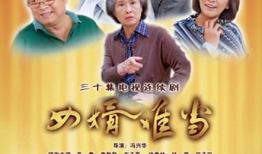 女婿难当电视剧