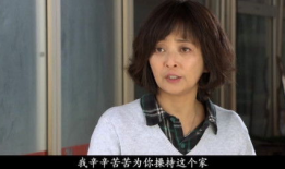 女婿难当电视剧